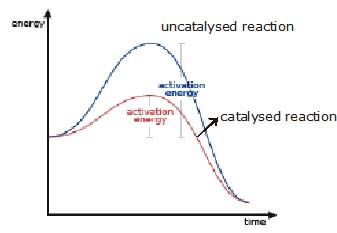 Factors Affecting Equilibria & Le Chatelier`s Principle | Chemistry Class 11 - NEET